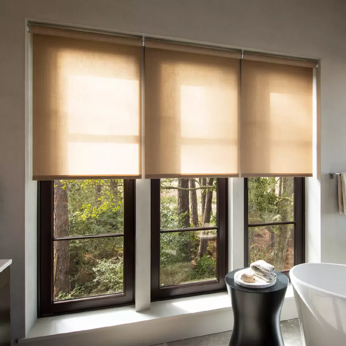 Lutron shades custom home Rancho Santa Fe bathroom